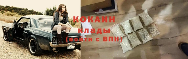 стафф Богданович