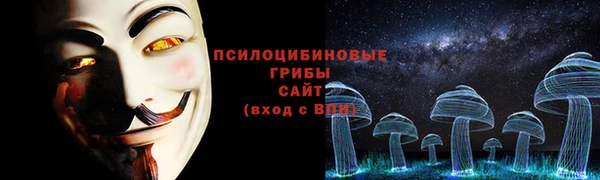 стафф Богданович