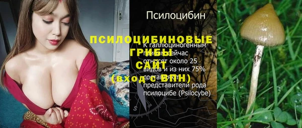 соль ск Новокубанск