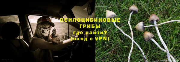 стафф Богданович