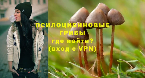 ALPHA-PVP Богородицк
