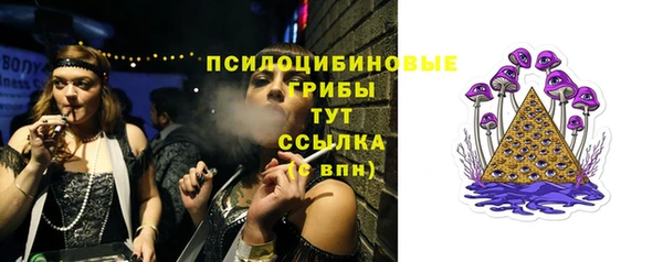 соль курить ск Новозыбков