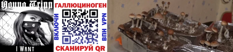 Галлюциногенные грибы MAGIC MUSHROOMS  Колпашево 